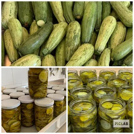 Çiftlik konaklama Olimpo