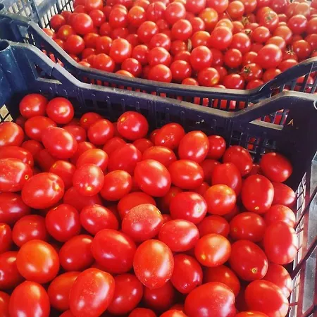 Olimpo Villa Santa Maria (Abruzzo)