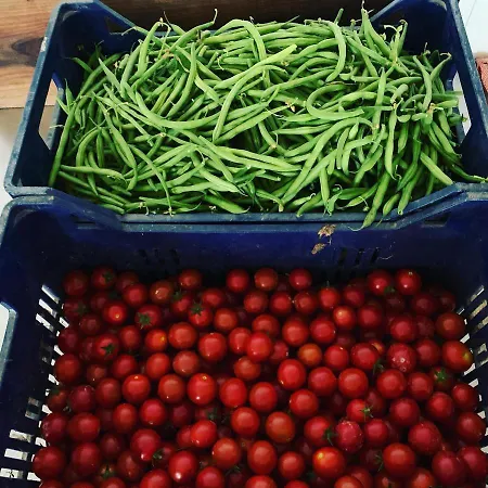 Çiftlik konaklama Olimpo *