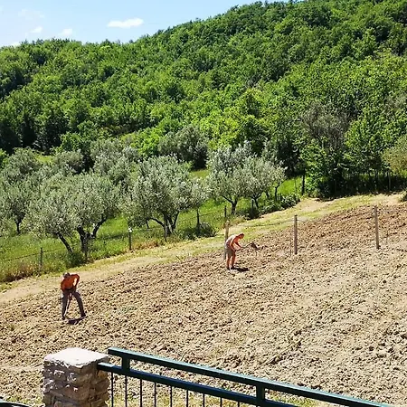 Olimpo Farm stay Villa Santa Maria (Abruzzo)