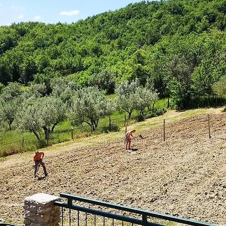 Olimpo Lantgård Villa Santa Maria (Abruzzo)