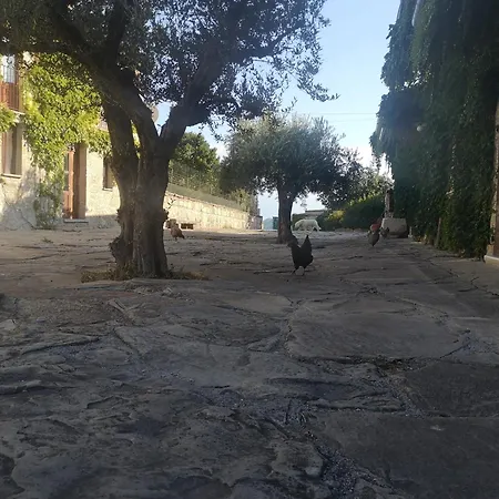 Olimpo * Villa Santa Maria (Abruzzo)