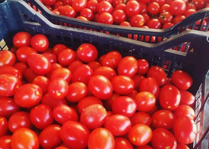 Olimpo Villa Santa Maria (Abruzzo)