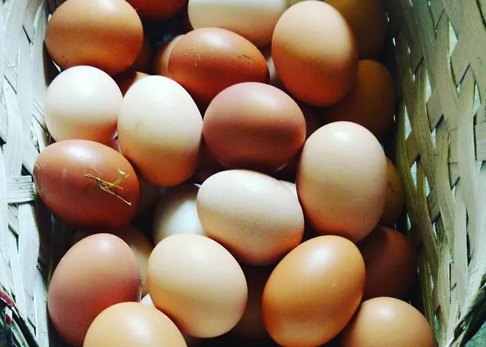 Olimpo Villa Santa Maria (Abruzzo)