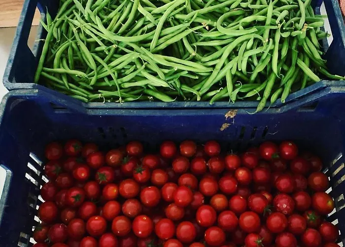 Фермерский дом Olimpo *