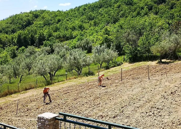 Olimpo Фермерский дом Villa Santa Maria (Abruzzo)